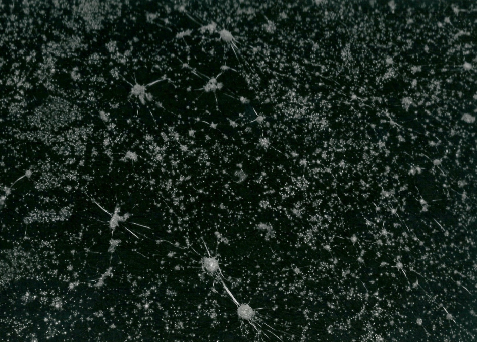 sterrenhemel ? - Overig - 