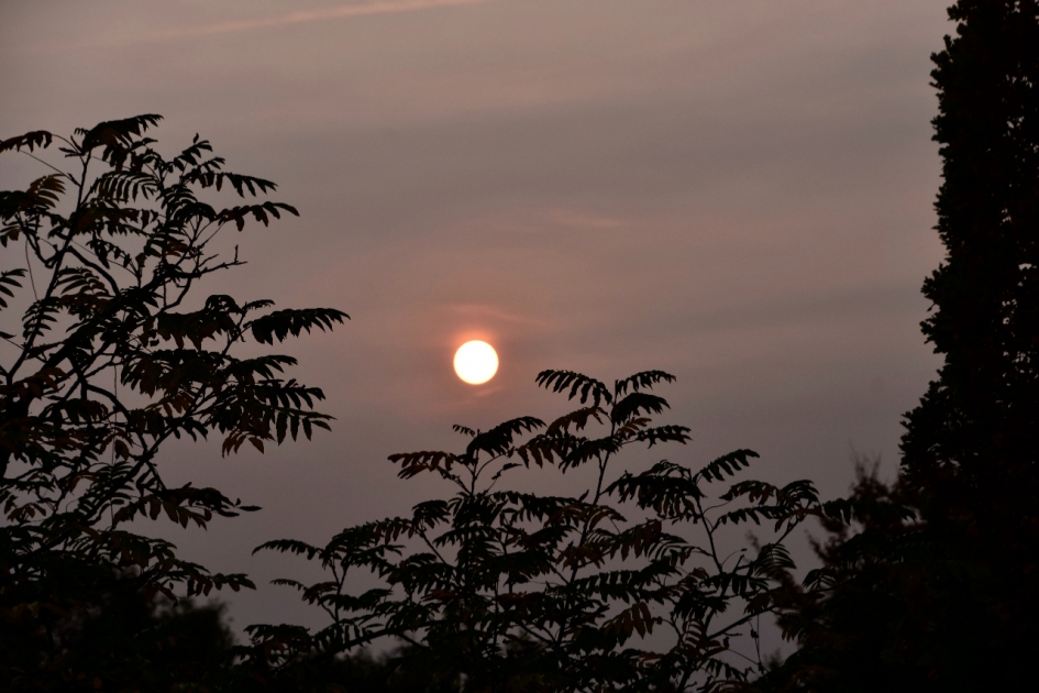 Vanmorgen - Weer en landschap - 