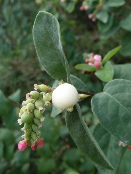 Vergeten eerder te plaatsen