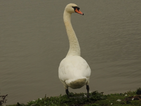 Wat zie ik nu achter mij?