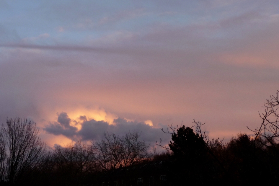 Eind van de middag - Weer en landschap - 