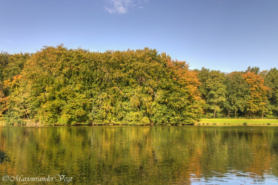 Haagse bos - Weer en landschap - Haagse bos