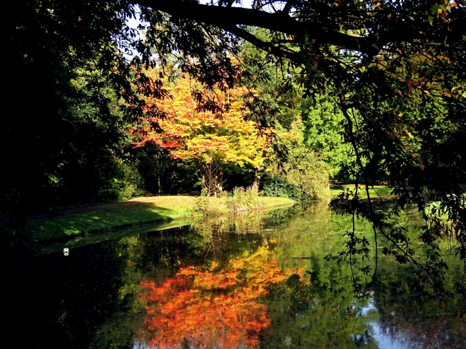 Herfst - Weer en landschap - 