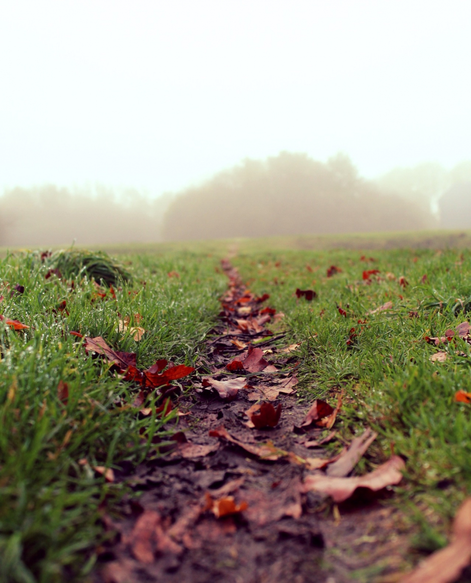 Herfst - Weer en landschap - Herfst