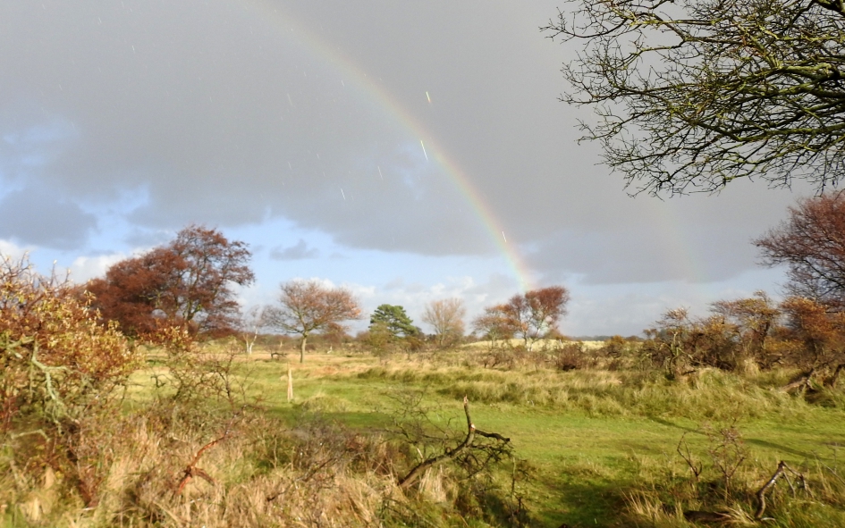 Het regent en toch schijnt de zon! - Weer en landschap - 