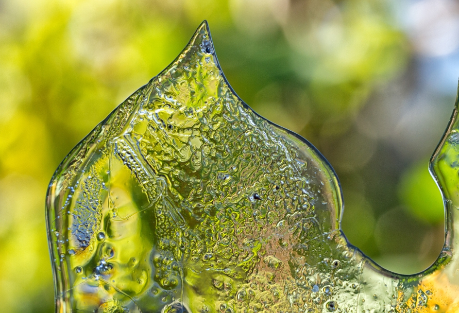 IJssculpture - Overig - 