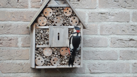 Insecten hotel wordt snoep hotel