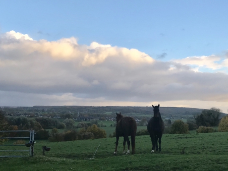 Laat in de middag...