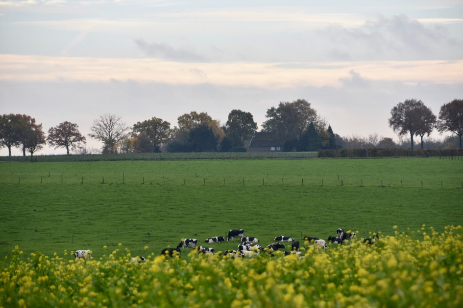 Limburgs landschap - Weer en landschap - 