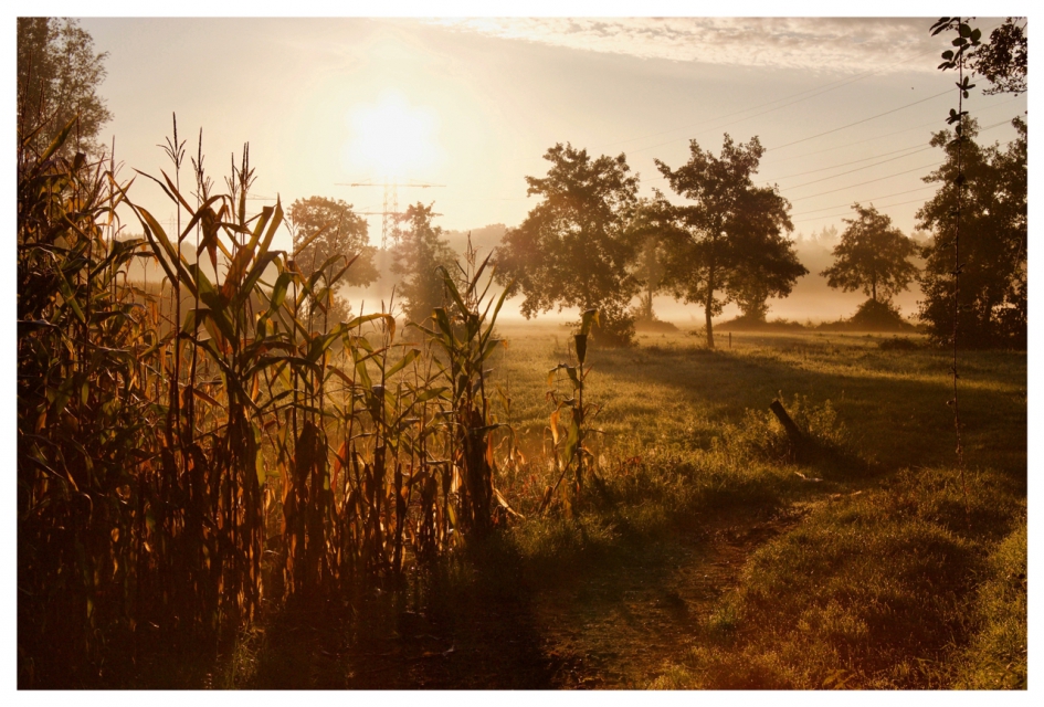Ochtendgloren - Weer en landschap - Ochtendgloren