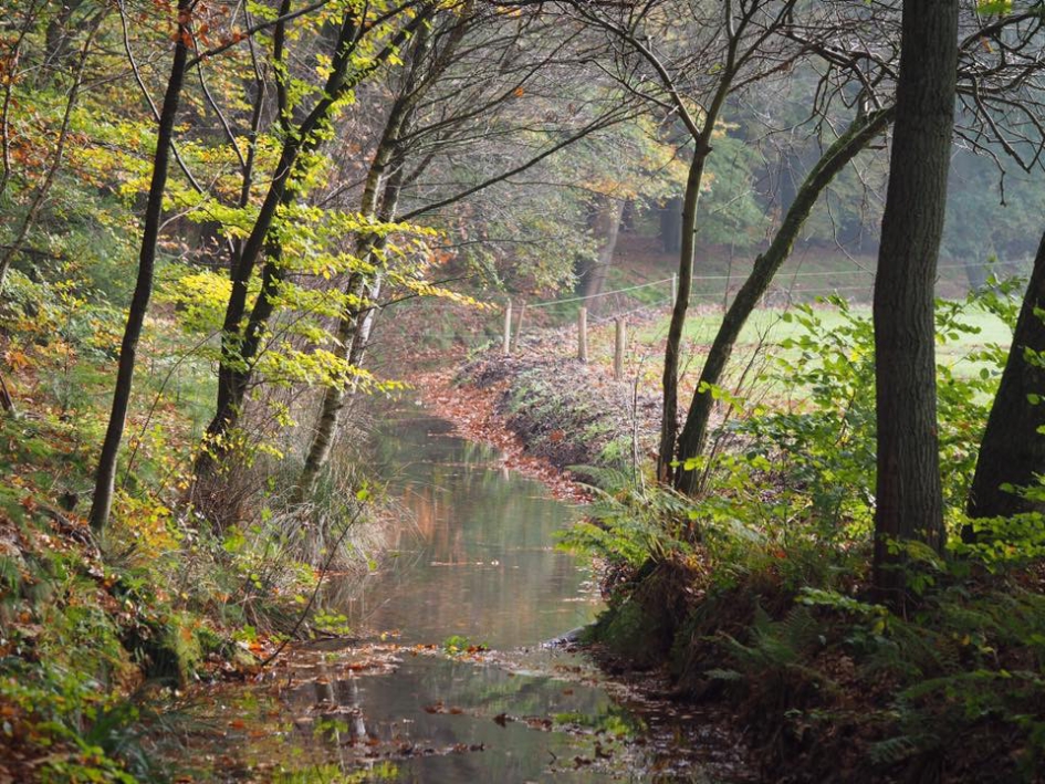 Paradijs - Weer en landschap - 