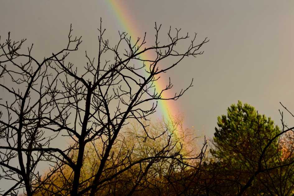 Regenboog 2 - Weer en landschap - 