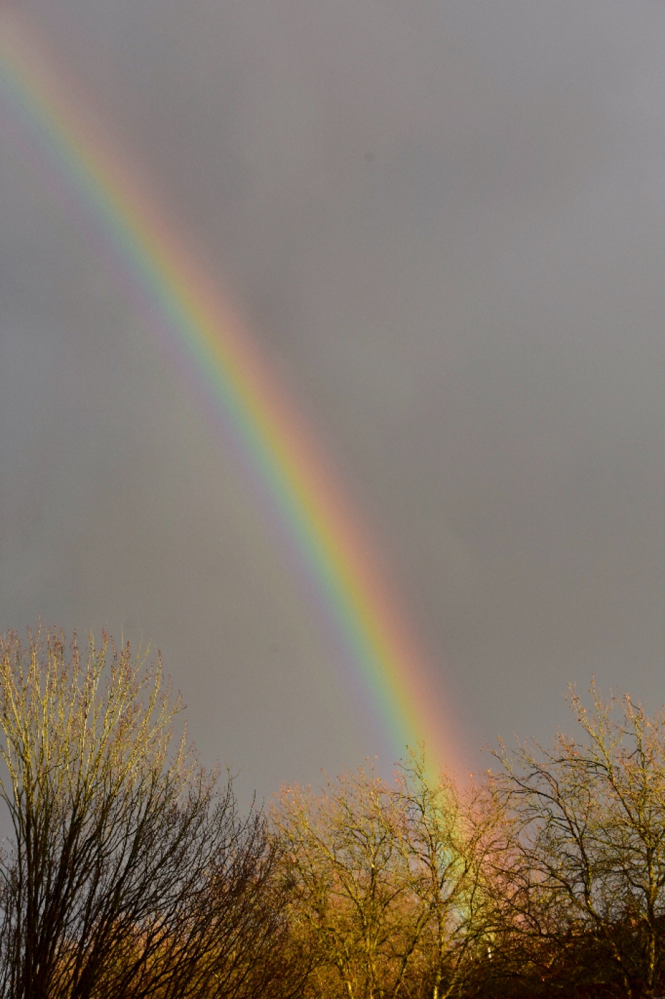 Regenboog 3 - Weer en landschap - 