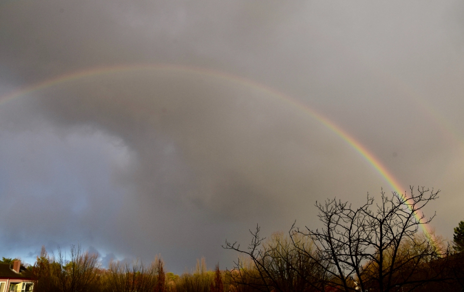 Regenboog - Weer en landschap - 