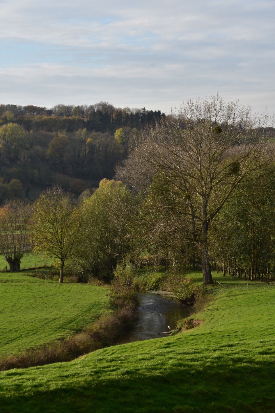 Rivier de Geul - Weer en landschap - 