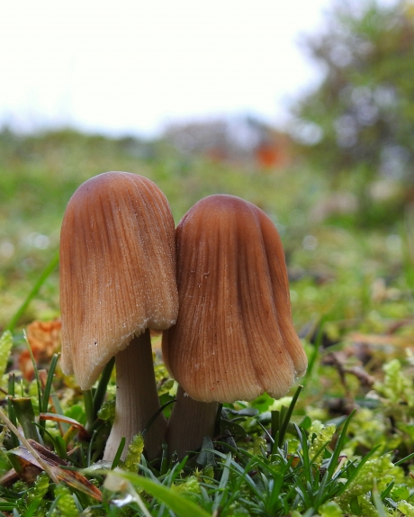 Samen ben je niet alleen