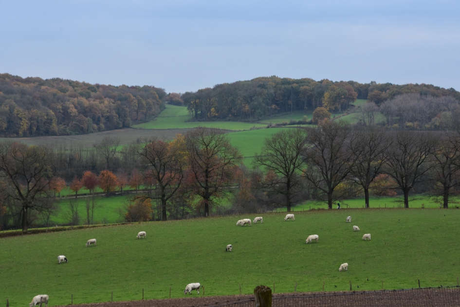 Heuvelland - Weer en landschap - 