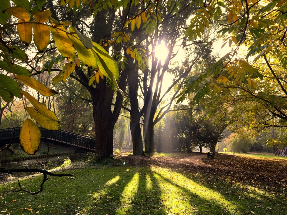 Stralen - Weer en landschap - 