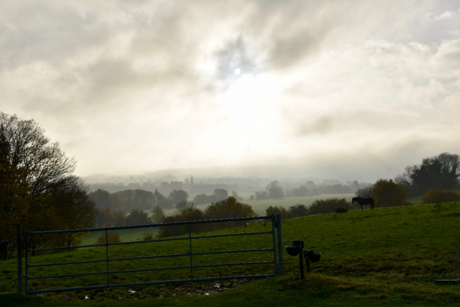 Vroege ochtend.... - Weer en landschap - 
