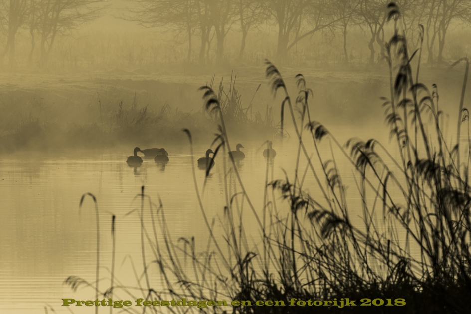 2017 - Weer en landschap - 