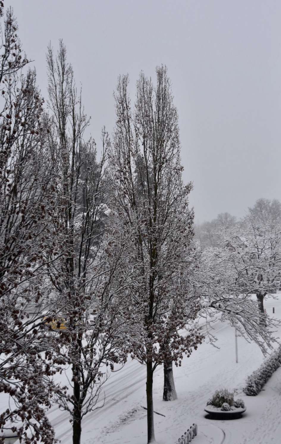 Alles wordt mooier in de sneeuw - Weer en landschap - 