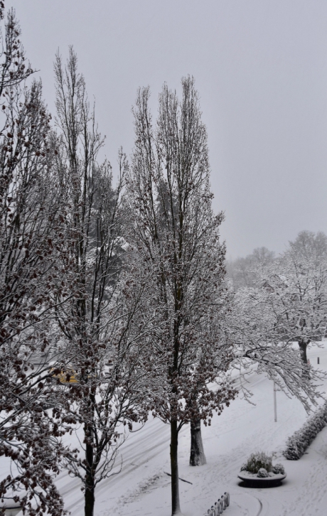 Alles wordt mooier in de sneeuw