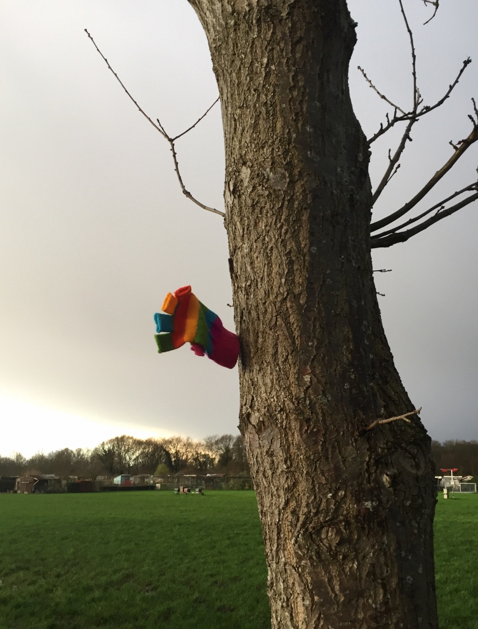 ‘Bloeiwijze’ waar je blij van wordt - Weer en landschap - 