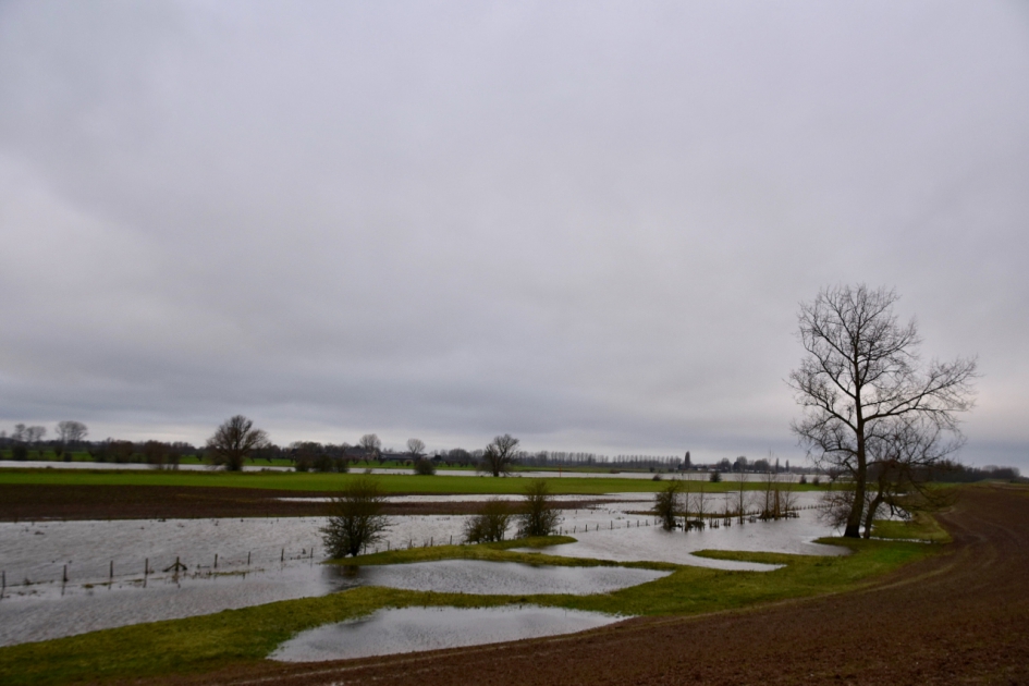 De Lek met de resten van het hoge water - Weer en landschap - 