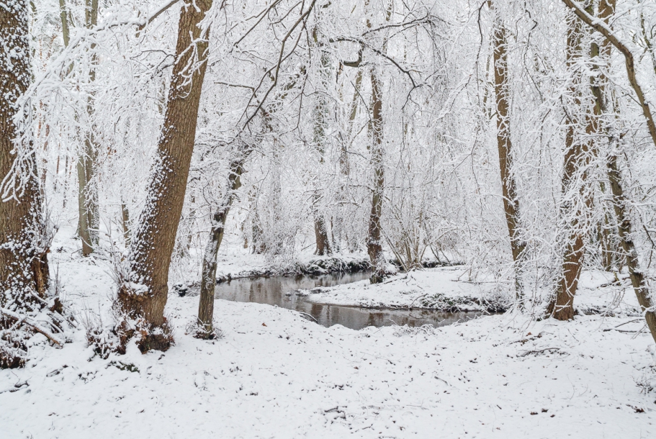 De Roode Beek...... - Weer en landschap - Roode Beek