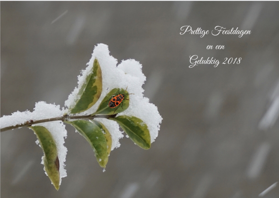 Fijne dagen - Weer en landschap - 