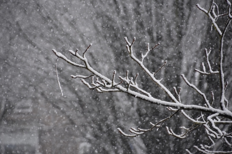 Het begint te sneeuwen