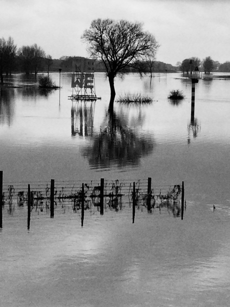 Hoog water in Doesburg december 2018