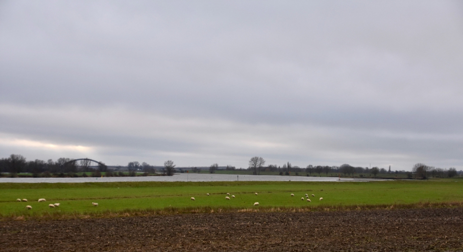 Lek... - Weer en landschap - 