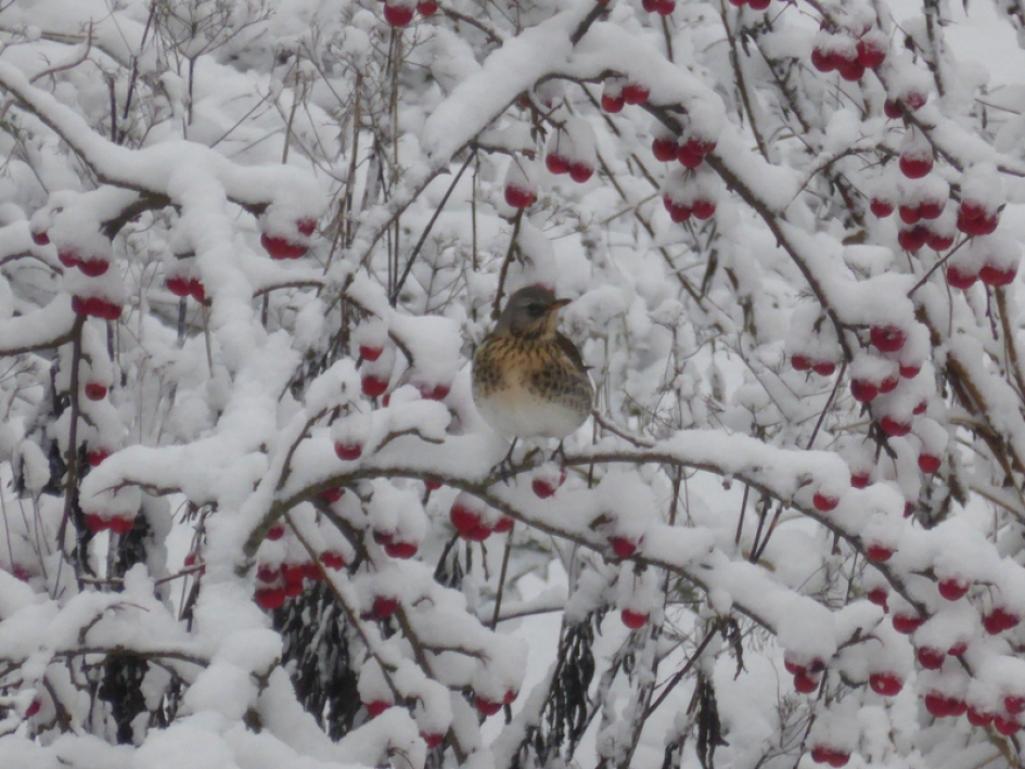 Lekker! - Weer en landschap - 