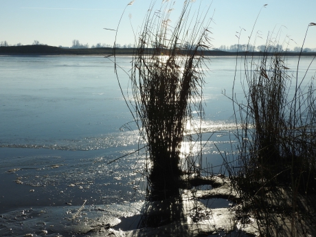 Merwede bij natuurgebied de Avelingen in Gorinchem