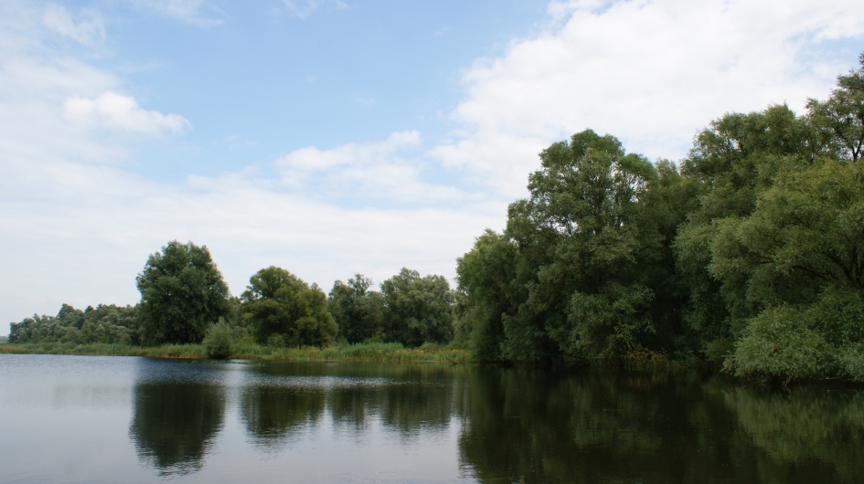 Millingerwaard - Weer en landschap - 