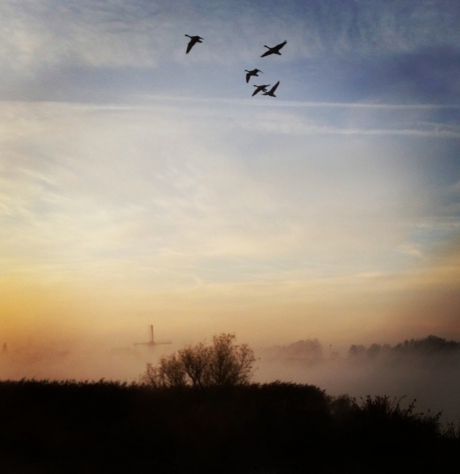 Rivier de Lek ter hoogte van de Eendenkooi in Lekkerkerk