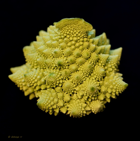 Romanesco