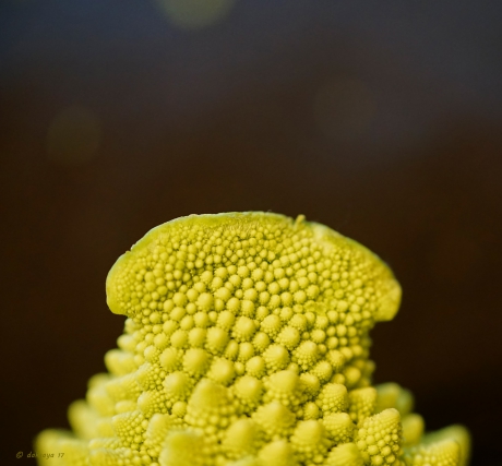 Romanesco (detail)