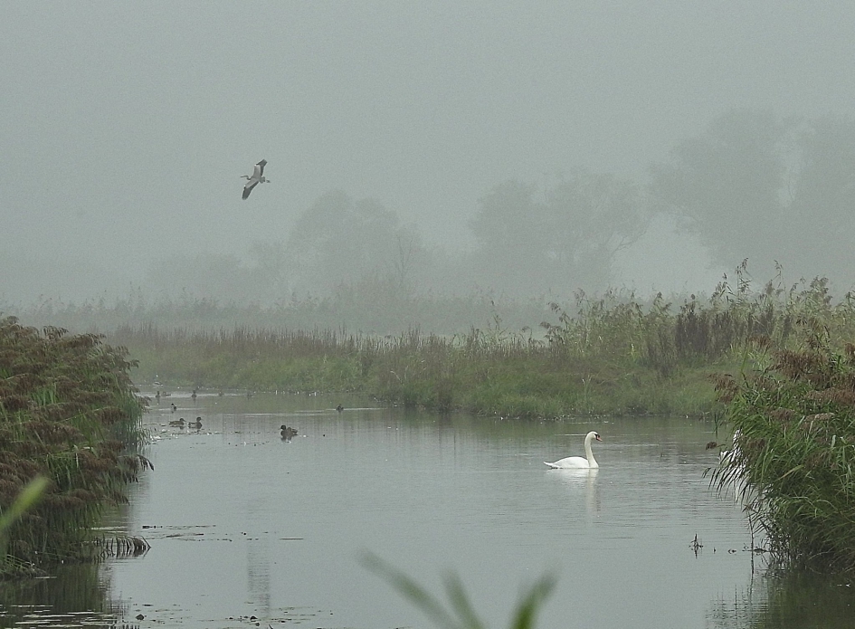 Schoolplaat - Weer en landschap - 