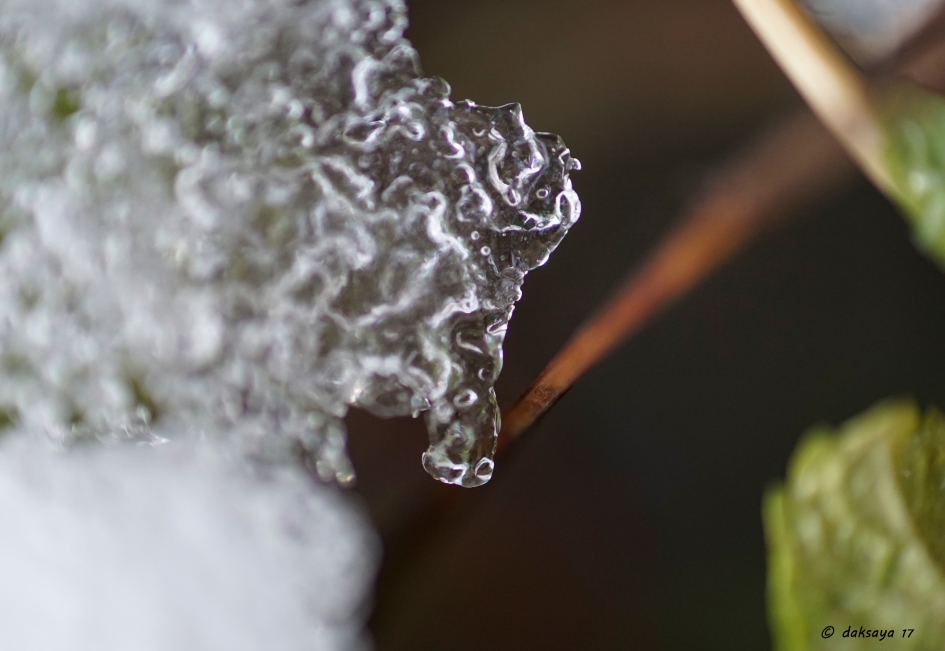 Smeltend sneeuw - Weer en landschap - 