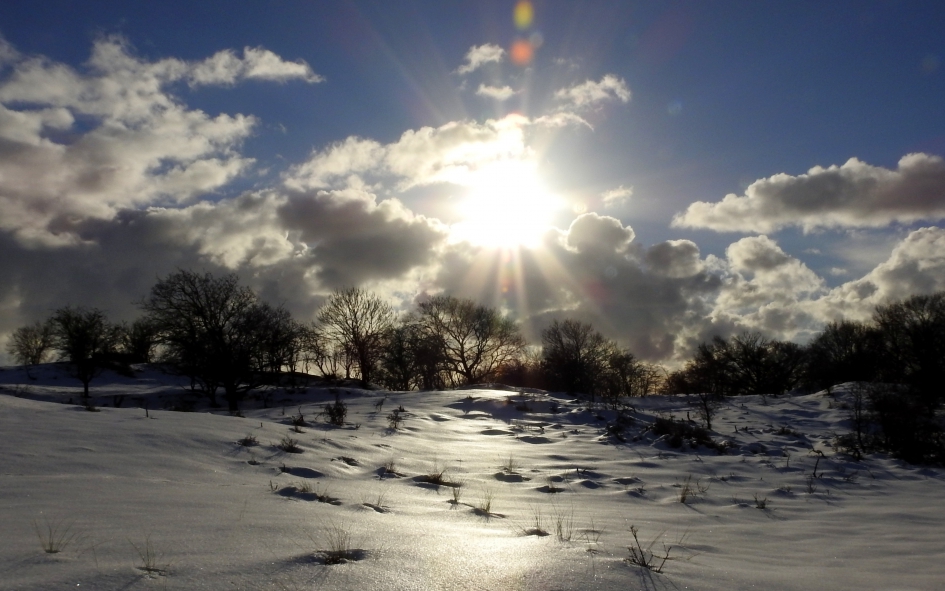 Sneeuw in de AWD - Weer en landschap - 