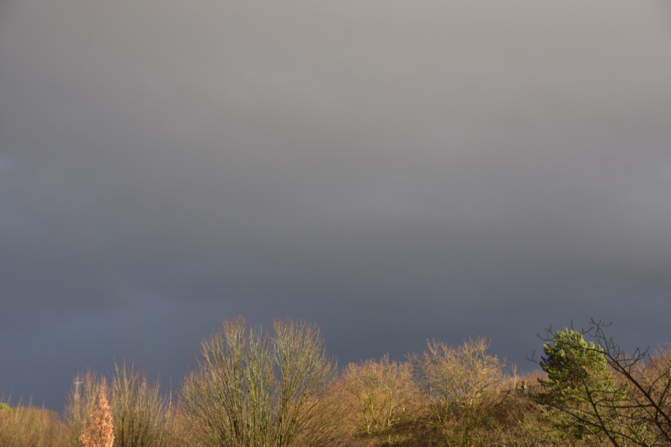 Vanmiddag - Weer en landschap - 