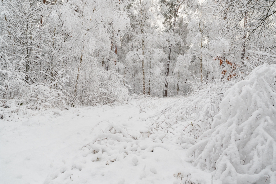 Winter - Weer en landschap - Winter