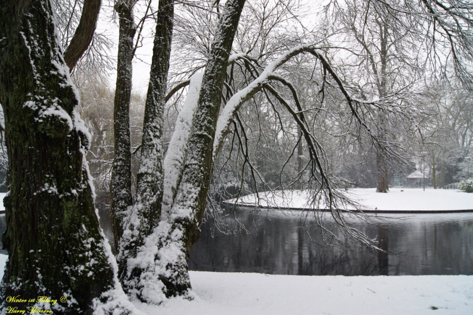 Winter in Tilburg -3 Wilhelminapark - Weer en landschap - 