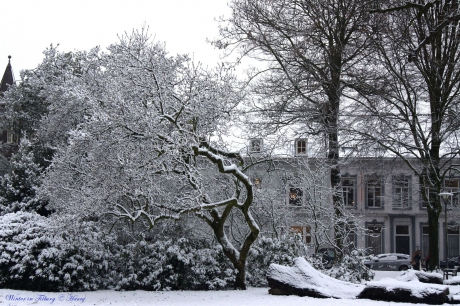 Winter in Tilburg - 2