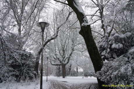 Winter in Tilburg - 4