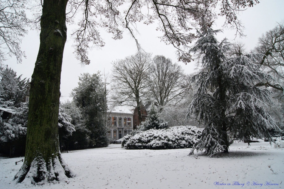 Winter in Tilburg 1 - Weer en landschap - 