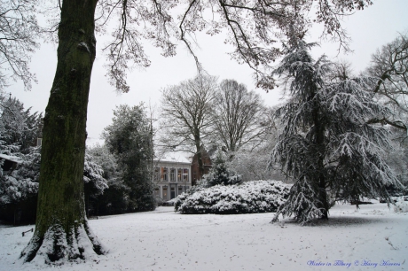Winter in Tilburg 1