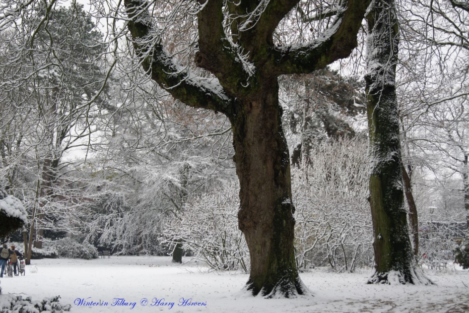 Winter in Tilburg - Weer en landschap - 